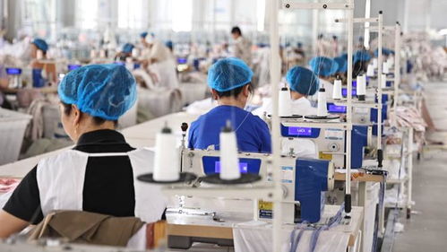 夏津 要素 服務 雙輪驅動 為企業(yè)創(chuàng)新發(fā)展賦能